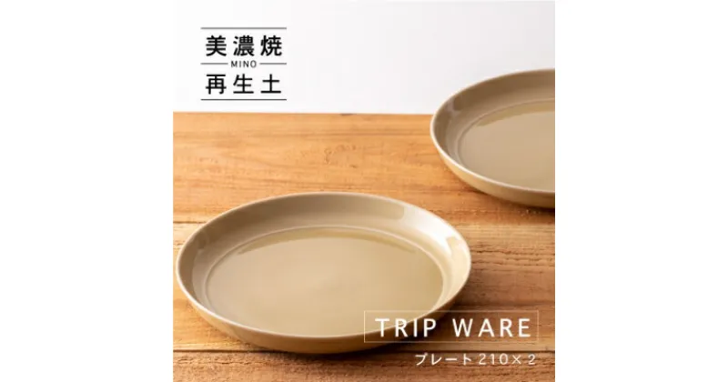 【ふるさと納税】【美濃焼・tripware】グッドデザイン賞受賞 プレート210　2枚　アイボリー【1262043】