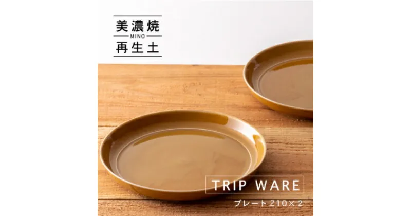 【ふるさと納税】【美濃焼・tripware】グッドデザイン賞受賞 プレート210　2枚　キャラメル【1262044】