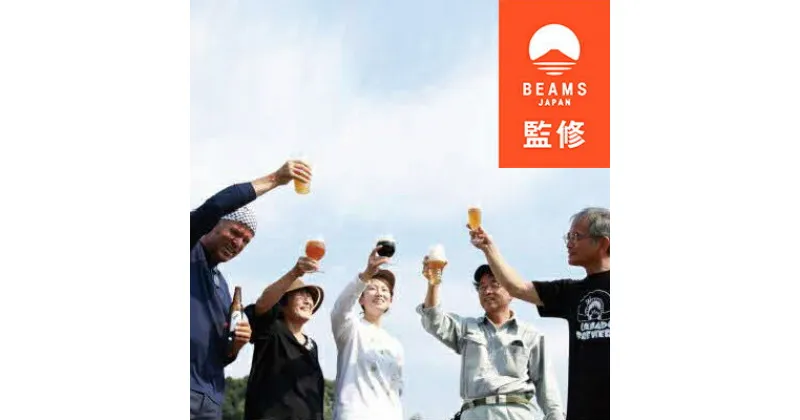 【ふるさと納税】【BEAMS JAPAN監修】パーティセットビール12本【配送不可地域：離島】【1352615】