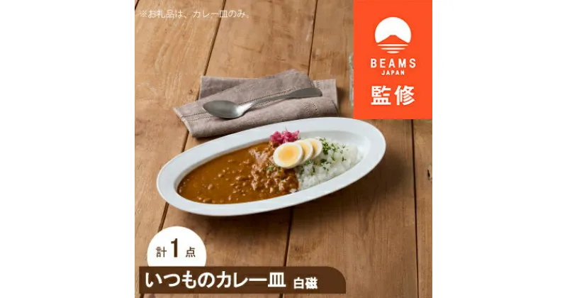 【ふるさと納税】【BEAMS JAPAN監修】 miyama.のカレーのうつわ　いつものカレー皿　 白磁【1456066】