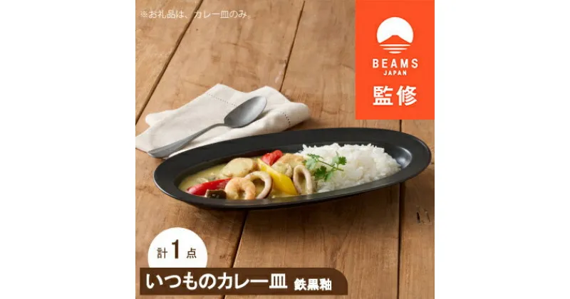 【ふるさと納税】【BEAMS JAPAN監修】 miyama.のカレーのうつわ　いつものカレー皿　 鉄黒釉【1456265】