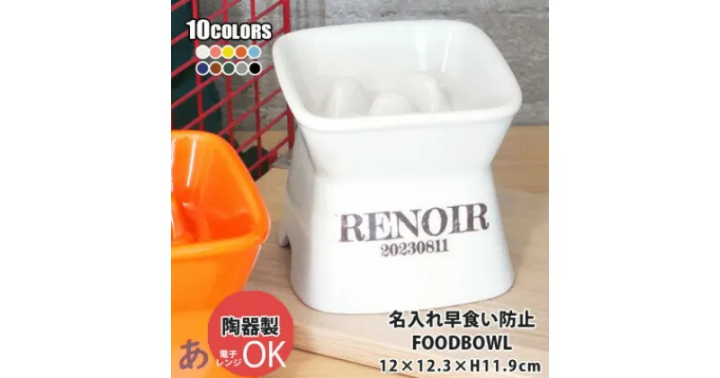 【ふるさと納税】美濃焼　陶器製ペット用フードボウル 名入れ 早食い防止 name&number 高台傾斜【1483543】