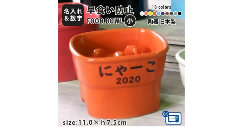 【ふるさと納税】美濃焼　陶器製ペット用フードボウル【名入れ name&number 早食い防止 高台 小】【1483560】