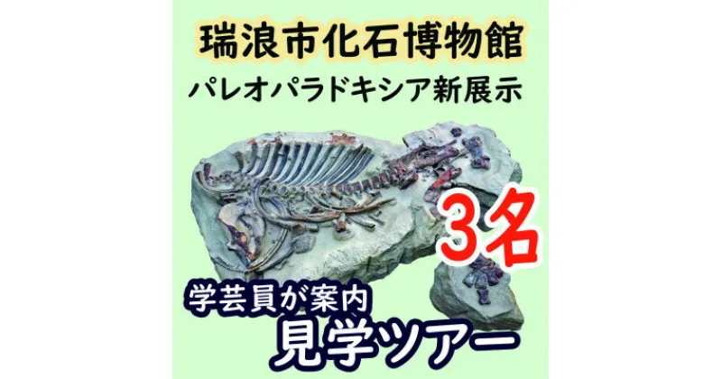 【ふるさと納税】瑞浪市化石博物館パレオパラドキシア新コーナー、学芸員の解説付き見学ツアー(3名)【1502731】