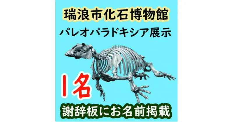 【ふるさと納税】展示コーナーに名前が載る!瑞浪市化石博物館パレオパラドキシア新展示コーナー謝辞板にお名前掲載(1名)【1502734】