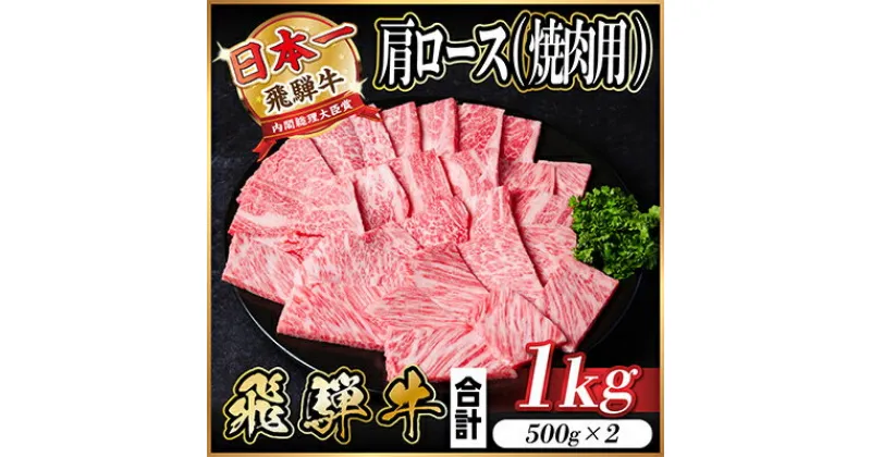 【ふるさと納税】飛騨牛　肩ロース　焼肉　1kg【配送不可地域：離島】【1487296】