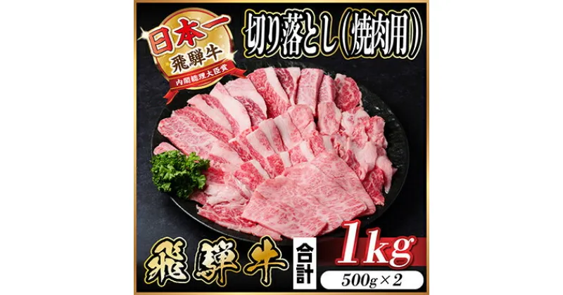 【ふるさと納税】飛騨牛　訳あり　切り落とし焼肉1kg【配送不可地域：離島】【1487351】