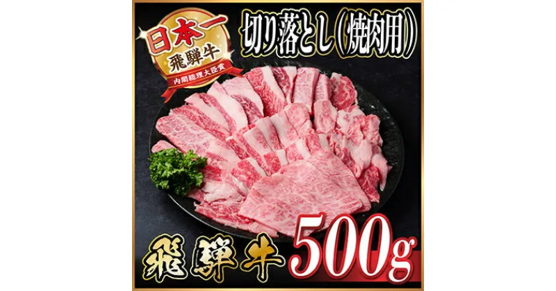 【ふるさと納税】飛騨牛　訳あり切り落とし焼肉　500g　【配送不可地域：離島】【1487352】