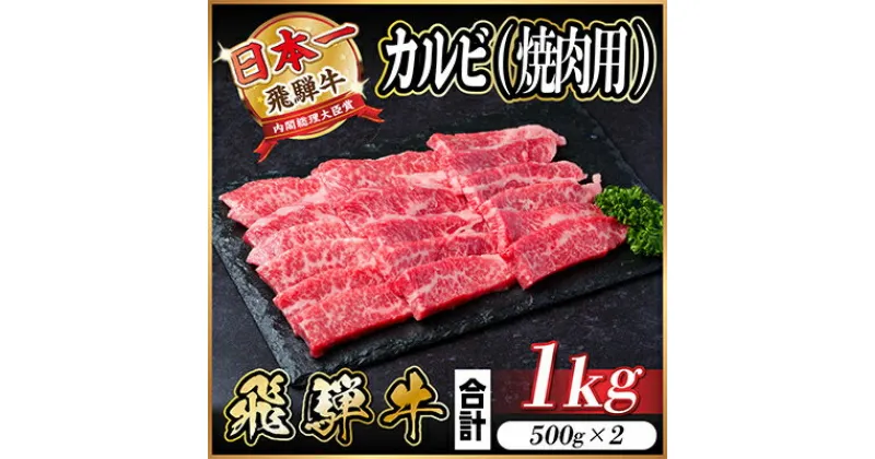 【ふるさと納税】飛騨牛　カルビ　焼肉　1kg【配送不可地域：離島】【1487353】