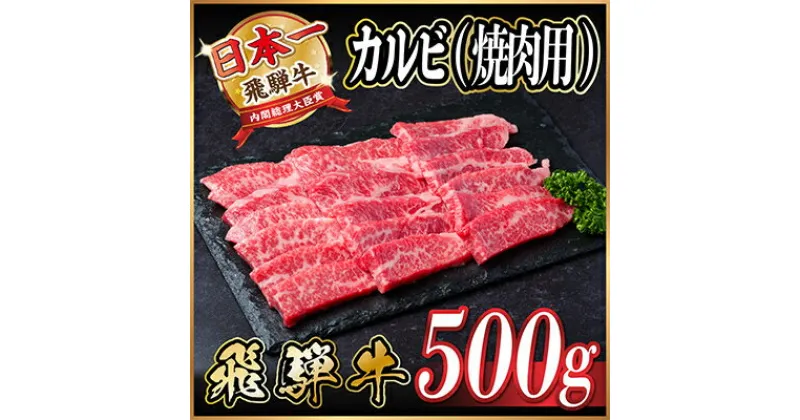 【ふるさと納税】飛騨牛　カルビ　　焼肉　500g【配送不可地域：離島】【1487355】