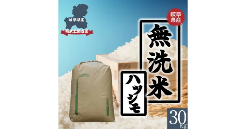 【ふるさと納税】【無洗米】新米　岐阜県産ハツシモ(精米)　30kg 令和6年産【1530990】