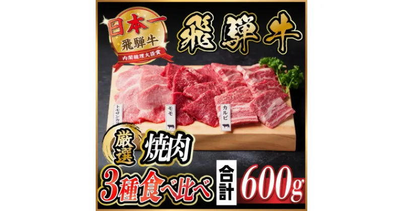 【ふるさと納税】飛騨牛　焼肉厳選3種食べ比べセット(カルビ・トモサンカク・モモ)　約600g【配送不可地域：離島】【1531174】