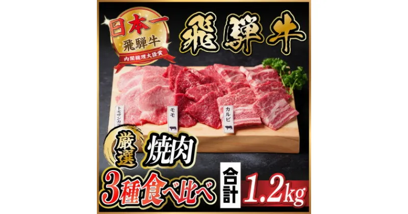 【ふるさと納税】飛騨牛　焼肉厳選3種食べ比べセット(カルビ・トモサンカク・モモ)　約1.2kg【配送不可地域：離島】【1531176】