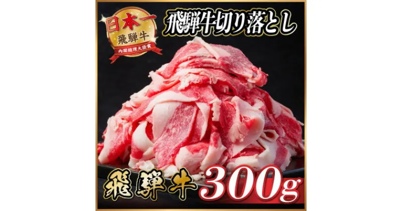 【ふるさと納税】飛騨牛　切り落とし　約300g【配送不可地域：離島】【1531495】