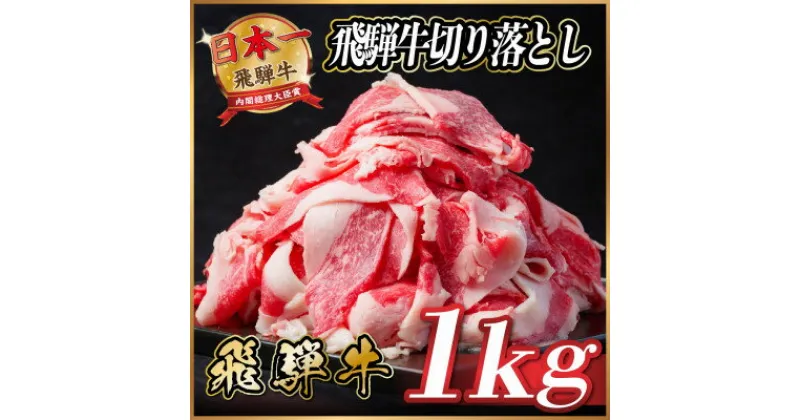 【ふるさと納税】飛騨牛　切り落とし　約1kg(約500g×2パック)【配送不可地域：離島】【1531513】