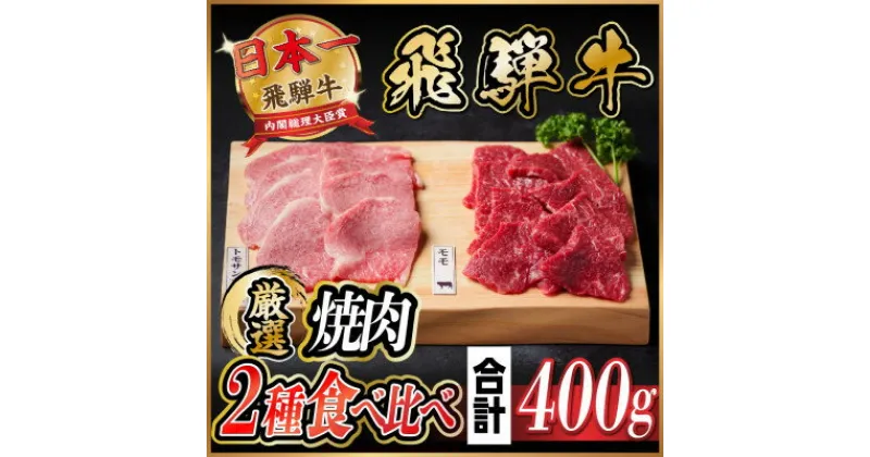 【ふるさと納税】飛騨牛　トモサンカク・モモ焼肉　約400g(各約200g)【配送不可地域：離島】【1531166】