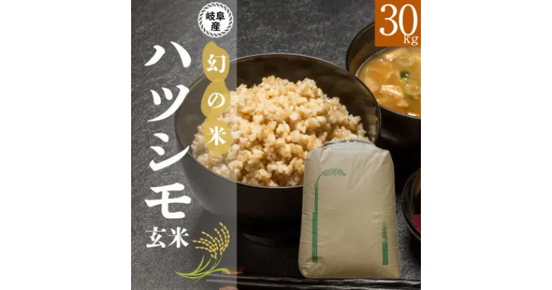 【ふるさと納税】【玄米】新米　岐阜県産ハツシモ　30kg　令和6年産【1530932】