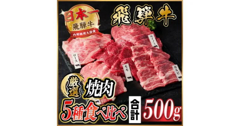 【ふるさと納税】飛騨牛 焼肉厳選5種食べ比べセット(カルビ・トモサンカク・モモ・ロース・カイノミ)約500gタレ付き【配送不可地域：離島】【1532665】