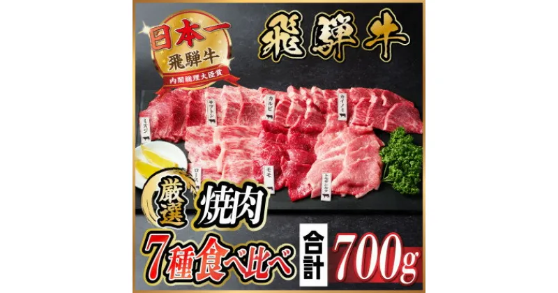 【ふるさと納税】飛騨牛　焼肉7種食べ比べ(カルビ・トモサンカク・モモ・ロース・カイノミ・ミスジ・ザブトン)約700g【配送不可地域：離島】【1532679】