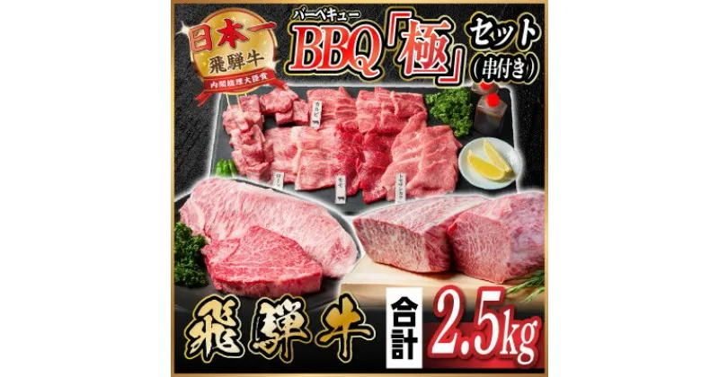 【ふるさと納税】飛騨牛　BBQ「極」セット(串付き)約2.5kg(味つけ用タレ・つけタレ・ローストビーフソース付き)【配送不可地域：離島】【1534612】