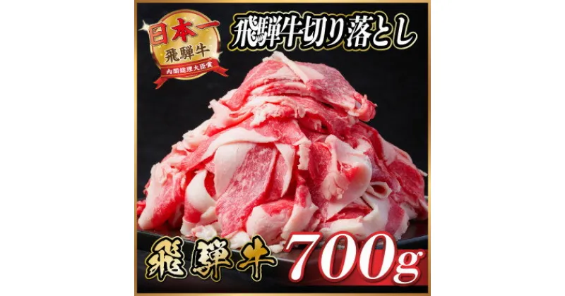 【ふるさと納税】飛騨牛　切り落とし　約700g　【冷蔵便】【配送不可地域：離島】【1534687】