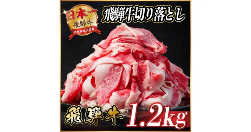 【ふるさと納税】飛騨牛　切り落とし　約1.2kg　【冷蔵便】【配送不可地域：離島】【1534704】