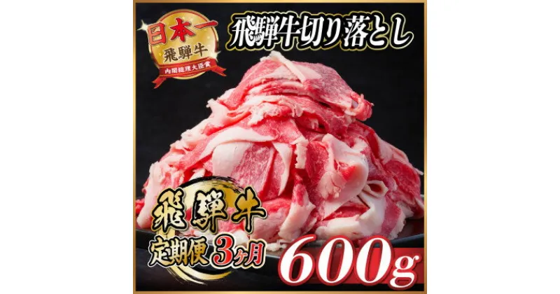 【ふるさと納税】【毎月定期便】飛騨牛　切り落とし　約600g【冷蔵便】全3回【配送不可地域：離島】【4055014】