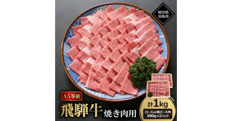 【ふるさと納税】A5等級飛騨牛:焼き肉用1kg　ロース又は肩ロース肉【配送不可地域：離島】【1539401】