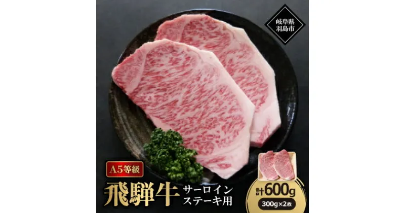 【ふるさと納税】A5等級飛騨牛:サーロインステーキ用600g【配送不可地域：離島】【1539460】