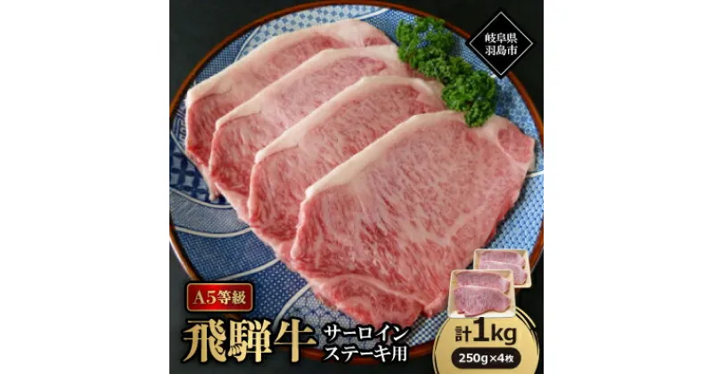 【ふるさと納税】A5等級飛騨牛:サーロインステーキ用1kg【配送不可地域：離島】【1539465】