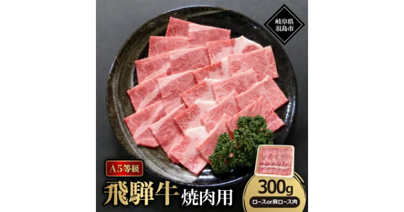 【ふるさと納税】A5等級飛騨牛:焼肉用300g　ロース又は肩ロース肉【配送不可地域：離島】【1539472】