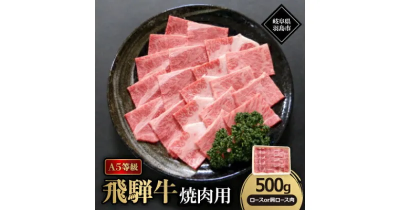 【ふるさと納税】A5等級飛騨牛:焼肉用500g　ロース又は肩ロース肉【配送不可地域：離島】【1539476】