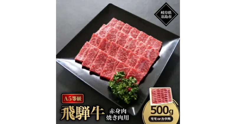 【ふるさと納税】A5等級飛騨牛:赤身肉焼肉用500g　モモ又はカタ肉【配送不可地域：離島】【1539485】