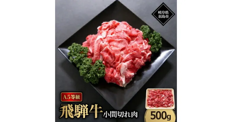 【ふるさと納税】A5等級飛騨牛:小間切れ500g【配送不可地域：離島】【1539491】