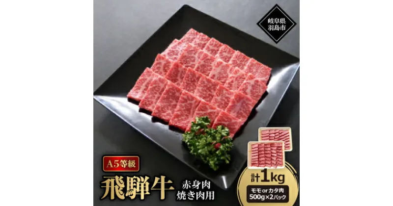 【ふるさと納税】A5等級飛騨牛:赤身肉焼き肉用約1kg　モモ又はカタ肉【配送不可地域：離島】【1539413】