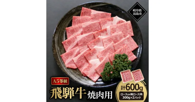 【ふるさと納税】A5等級飛騨牛:焼肉用600g　ロース又は肩ロース肉【配送不可地域：離島】【1539448】