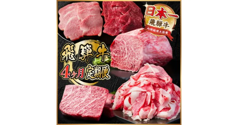 【ふるさと納税】【毎月定期便】飛騨牛 定期便 計1.7kg【冷蔵便】全4回【配送不可地域：離島】【4055506】