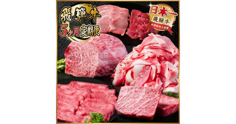 【ふるさと納税】【毎月定期便】飛騨牛 定期便 計2.2kg【冷蔵便】全5回【配送不可地域：離島】【4055507】