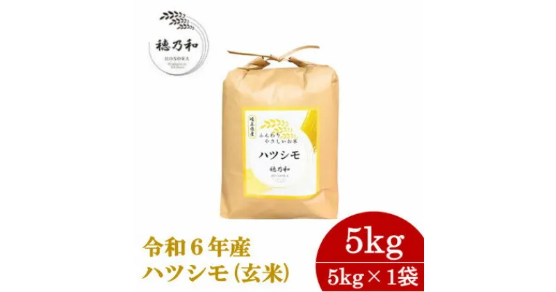 【ふるさと納税】【先行予約】岐阜県産ハツシモ(玄米)5kg【配送不可地域：離島】【1540548】