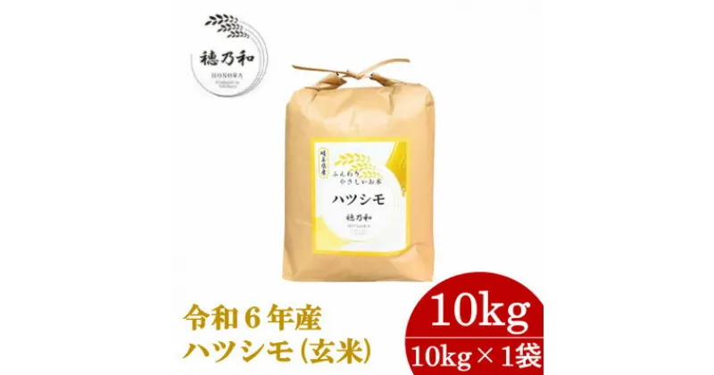 【ふるさと納税】【先行予約】岐阜県産ハツシモ(玄米)10kg【配送不可地域：離島】【1540786】