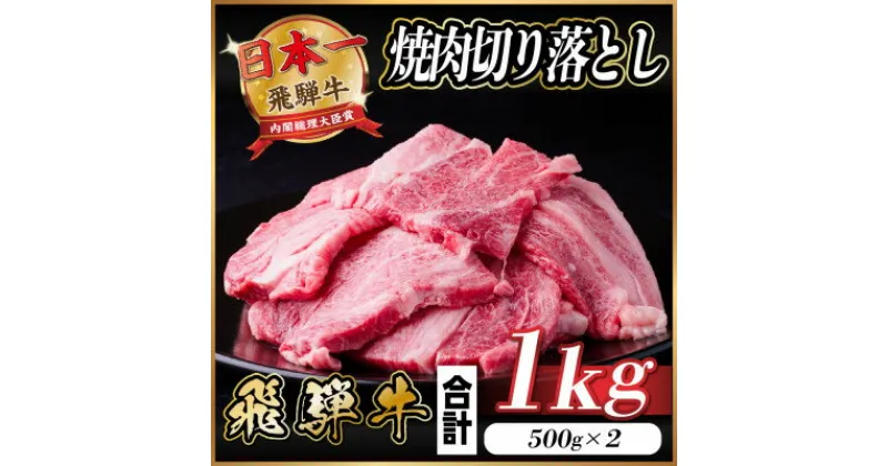 【ふるさと納税】飛騨牛 焼肉 切り落とし 約1kg(約500g×2)訳あり【冷蔵便】【配送不可地域：離島】【1543362】