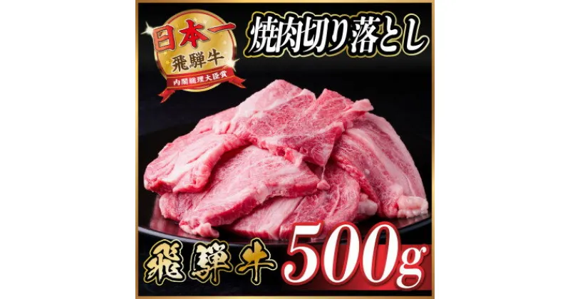 【ふるさと納税】飛騨牛 焼肉 切り落とし 約500g　訳あり【冷蔵便】【配送不可地域：離島】【1543368】