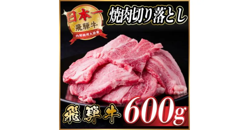 【ふるさと納税】飛騨牛 焼肉 切り落とし 約600g(約300g×2)訳あり【冷蔵便】【配送不可地域：離島】【1543372】