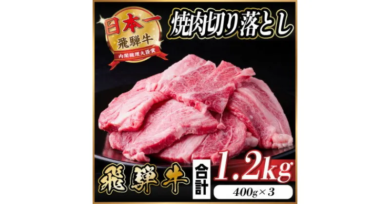 【ふるさと納税】飛騨牛 焼肉 切り落とし 約1.2kg(約400g×3)訳あり【冷蔵便】【配送不可地域：離島】【1543587】