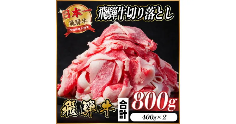 【ふるさと納税】飛騨牛 切り落とし 約800g(約400g×2パック)【冷蔵便】【配送不可地域：離島】【1544083】