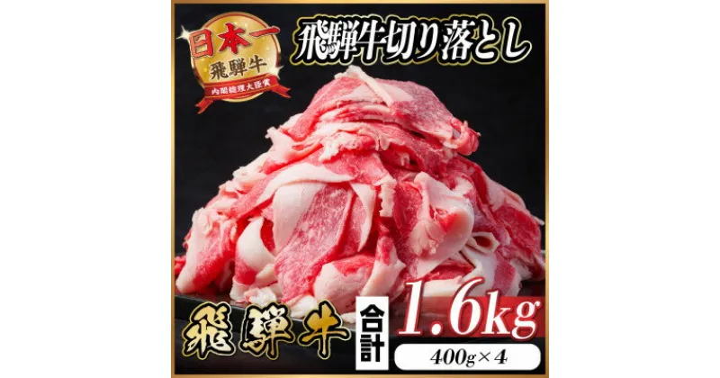 【ふるさと納税】飛騨牛 切り落とし 約1.6kg(約400g×4パック)【冷蔵便】【配送不可地域：離島】【1544085】