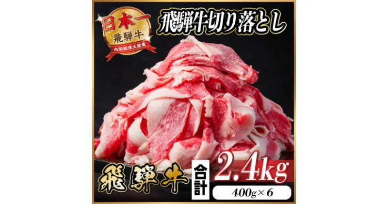 【ふるさと納税】飛騨牛 切り落とし 約2.4kg(約400g×6パック)【冷蔵便】【配送不可地域：離島】【1544086】