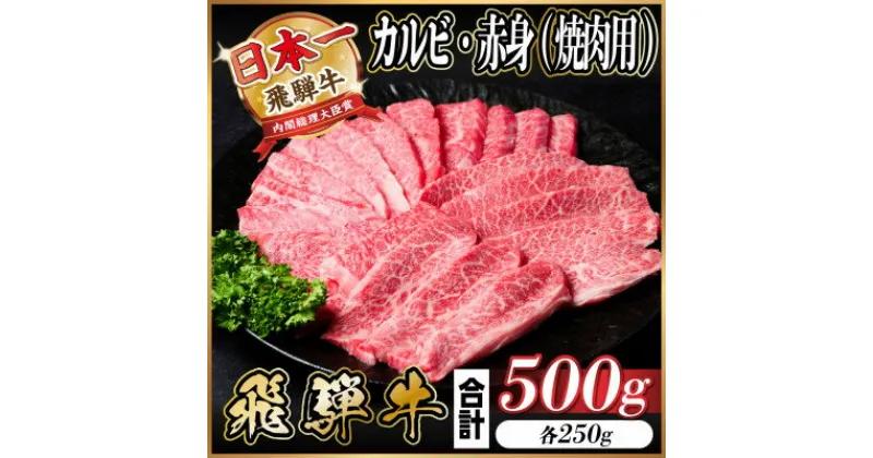 【ふるさと納税】飛騨牛 カルビ・赤身(焼肉用)500g(各250g)【配送不可地域：離島】【1543761】