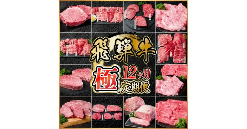 【ふるさと納税】【毎月定期便】【毎月定期便】飛騨牛 極定期便 計12.9kg【冷蔵便】全12回【配送不可地域：離島】【4055987】