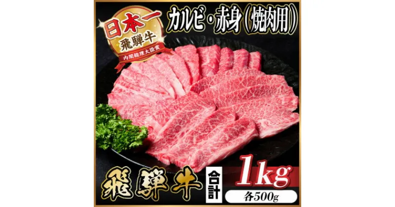 【ふるさと納税】飛騨牛 カルビ・赤身(焼肉用)1kg(各500g)【配送不可地域：離島】【1543764】